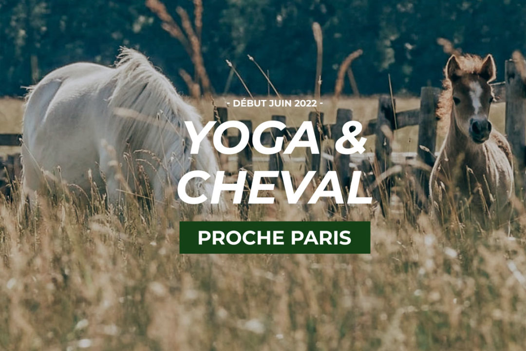 2022 – Retraite Yoga & Cheval – Du 3 au 6 juin