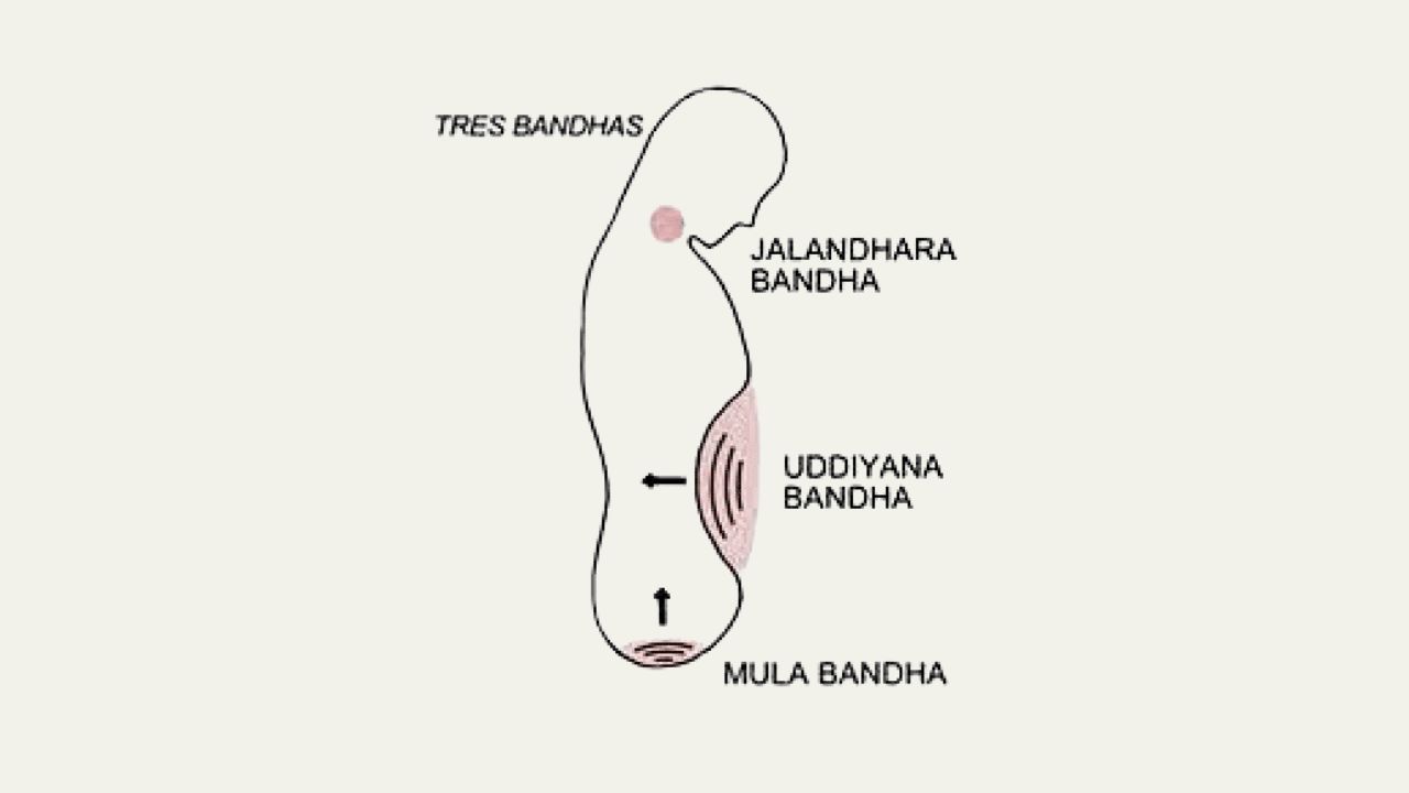 bandha jalandhara