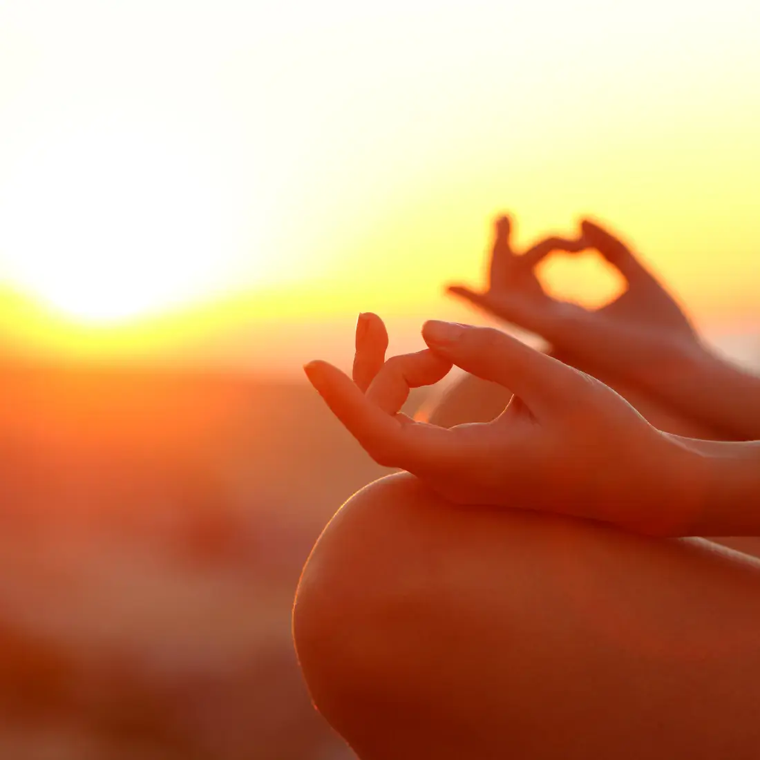 4 voies du yoga bhakti