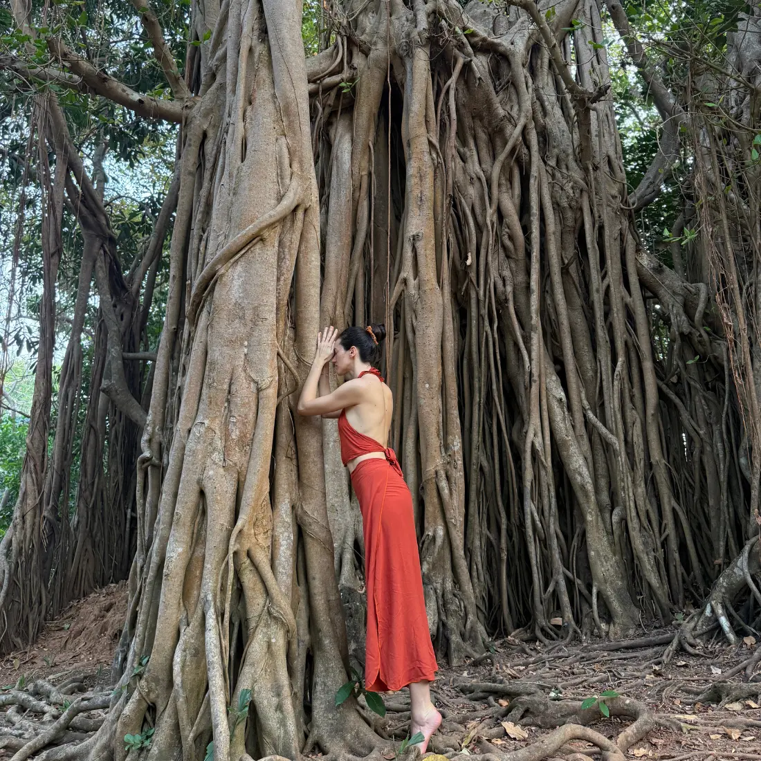 Grand arbre et posture