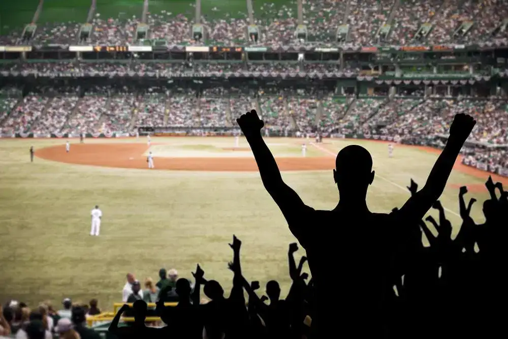 Fans cheering at a baseball game in a packed stadium.