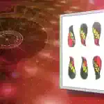 Sei di bastoni, simbolo di energia e determinazione.