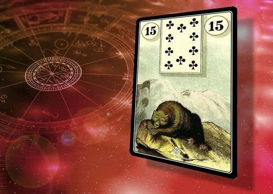 Orso delle Sibille, carta di divinazione, simbolo di forza e protezione.
