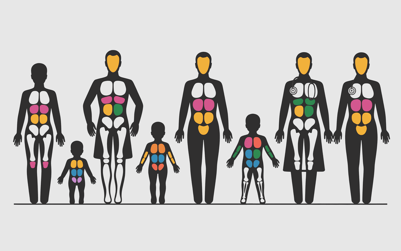 Silhouettes de patients avec zones colorées