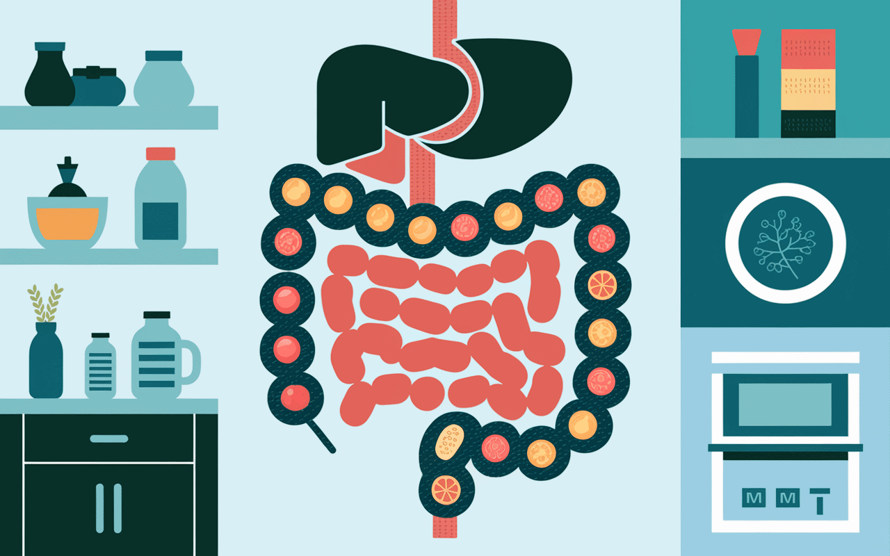 Nutriments et digestion stylisée