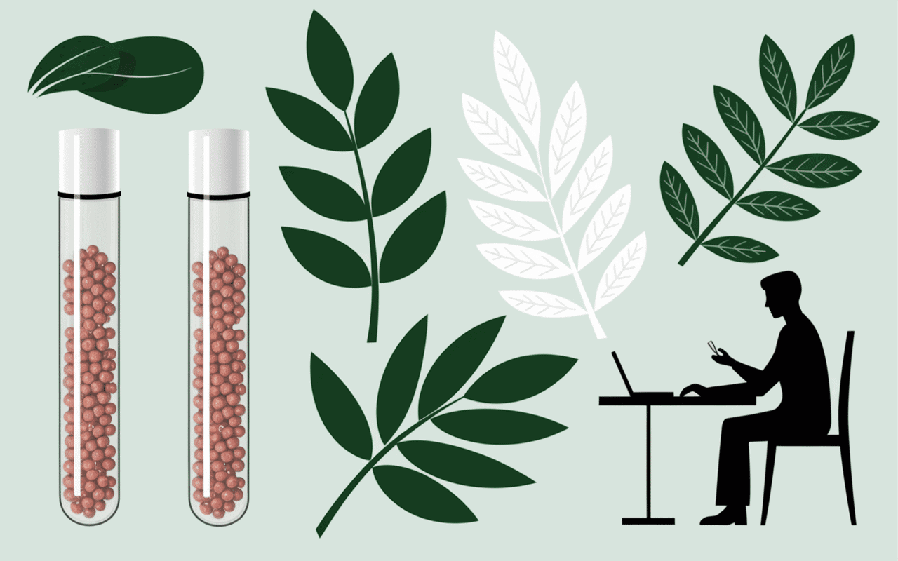 homéopathie et hernie hiatale ou conseils naturels en image