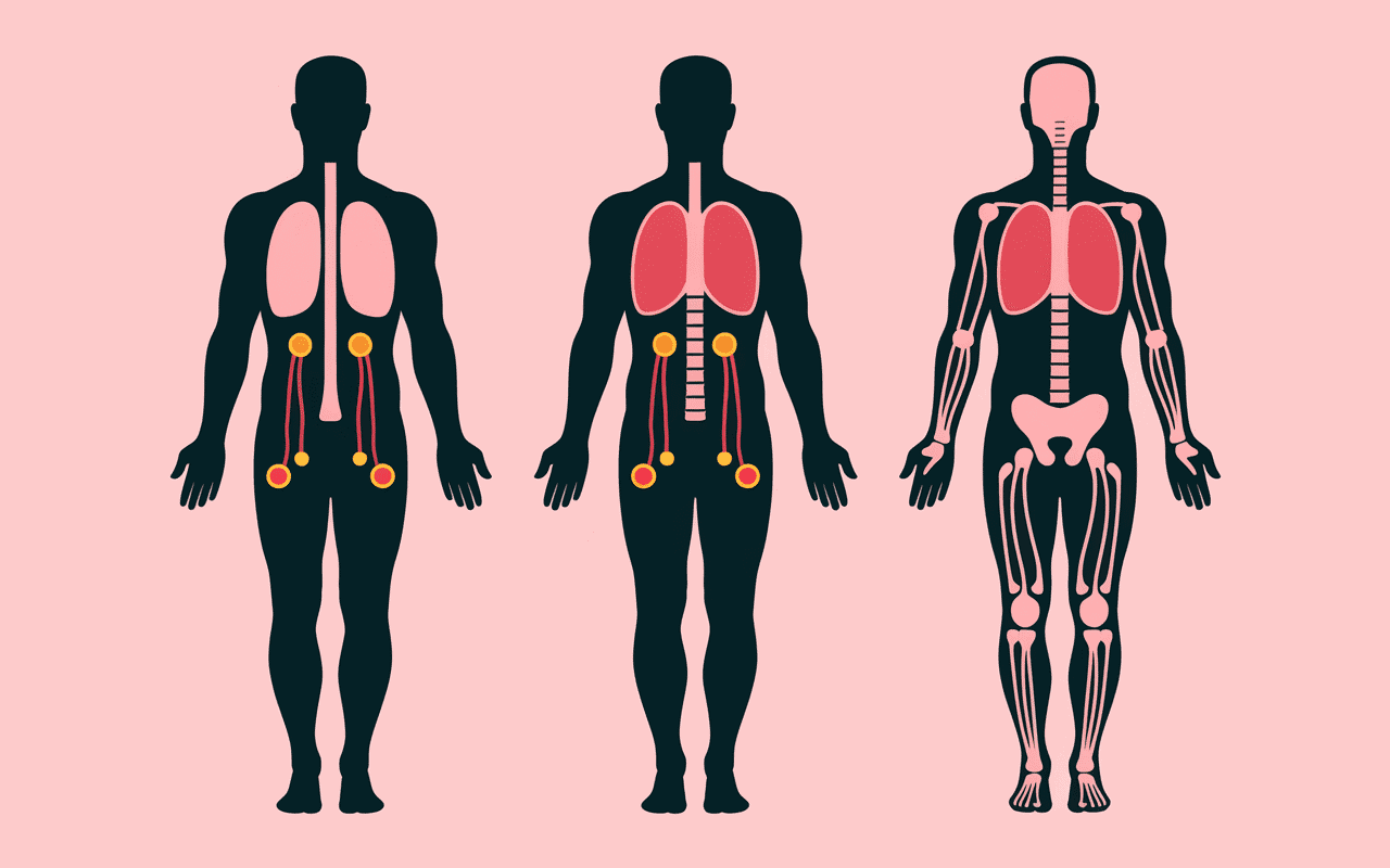 Electrodes tens position zones principales du corps