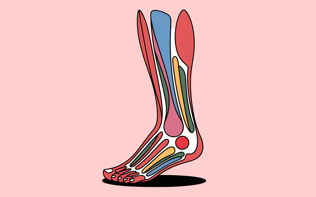 Schéma pied semelles orthopédiques douleurs musculaires