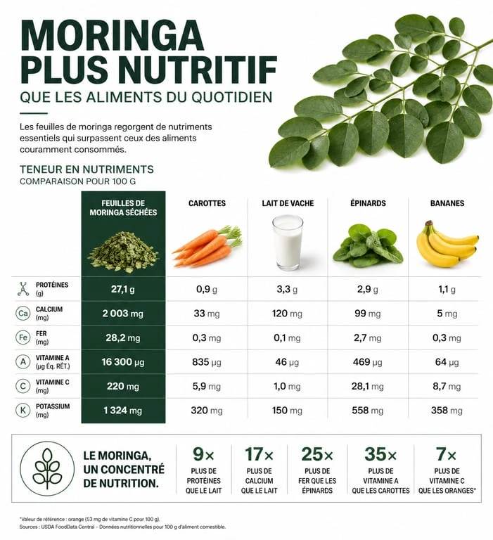 Infographie comparative des bienfaits des feuilles de moringa et densité nutritionnelle