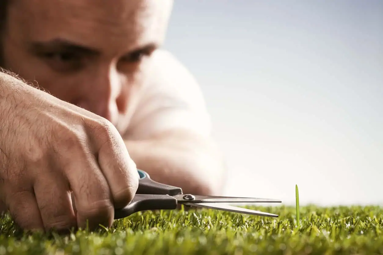 Perfectionist burnout