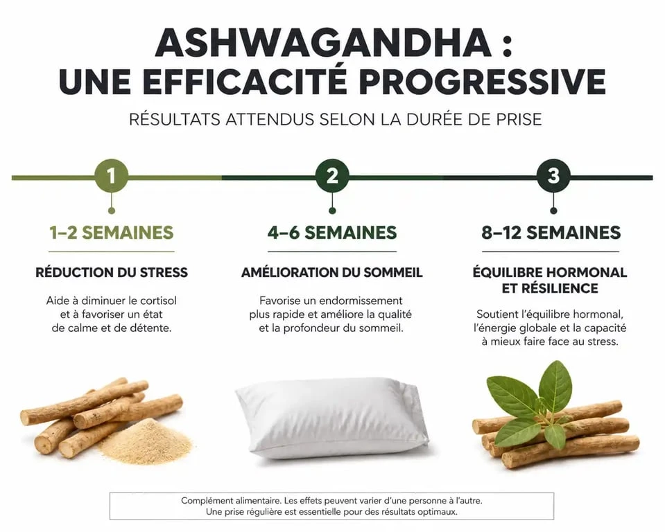 Infographie montrant le calendrier des effets de l'ashwagandha au fil du temps pour le stress, le sommeil et l'équilibre hormonal