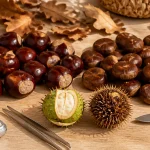 Que faire avec des marrons non comestibles : marrons d’Inde et récolte à recycler