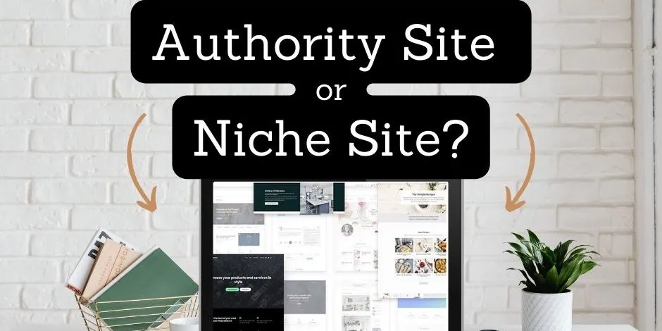Authority Site or Niche Website