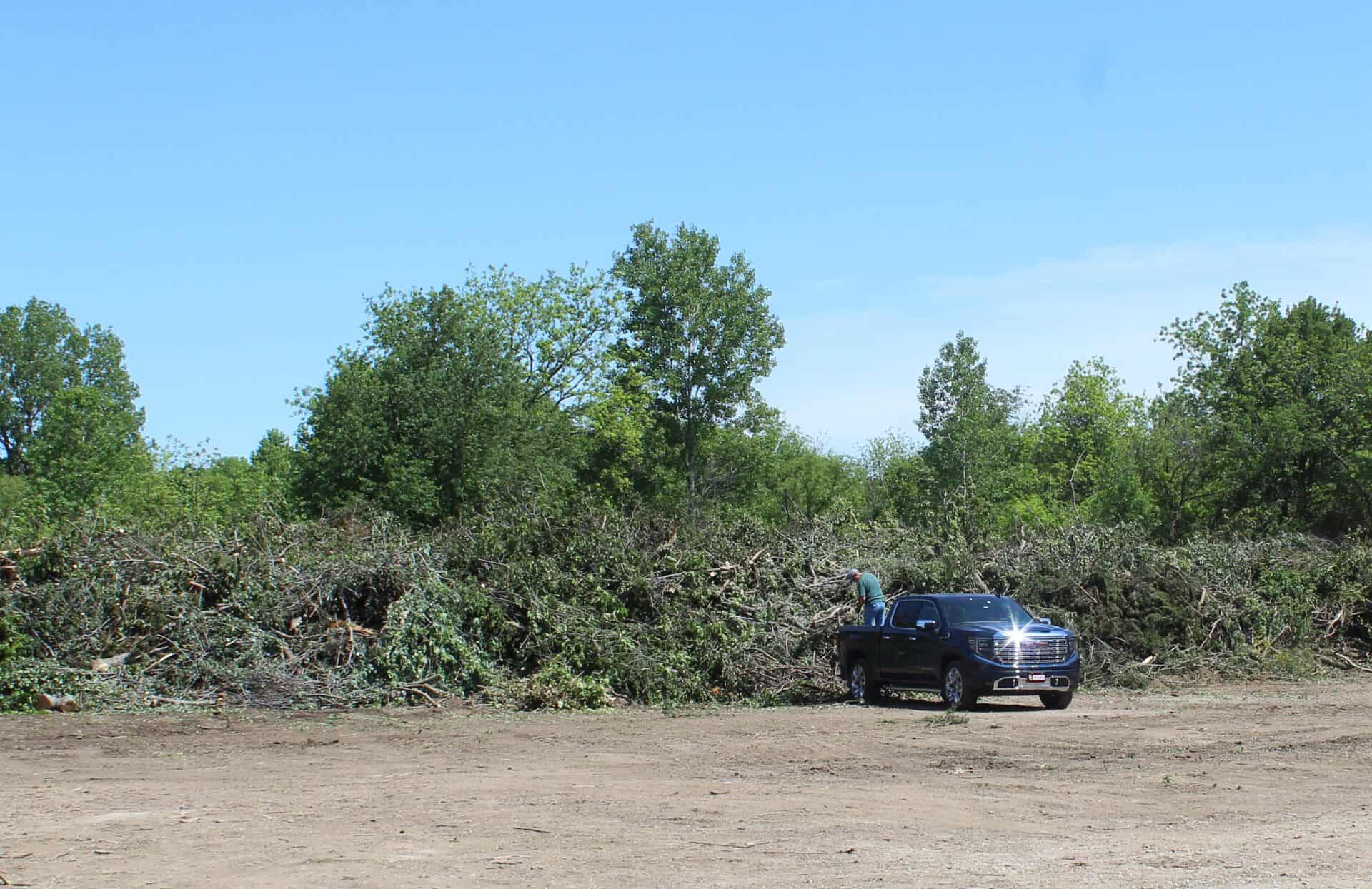Free disposal site open for storm debris