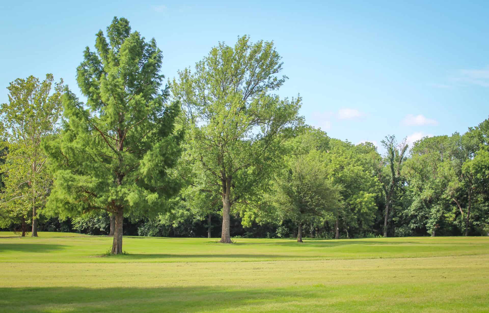 Boots Hollow Golf Club closed temporarily due to storm damage