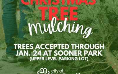 City offers free Christmas tree mulching at Sooner Park