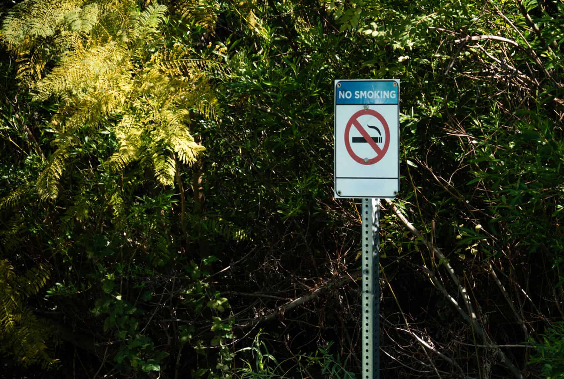 City property now Tobacco-, Smoke- and Vapor-Free