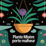 illustration plante misère porte malheur superstition feng shui