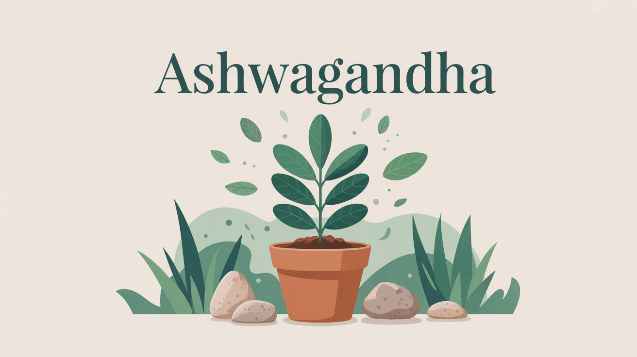 Plante ashwagandha verte stylisée avec éléments zen