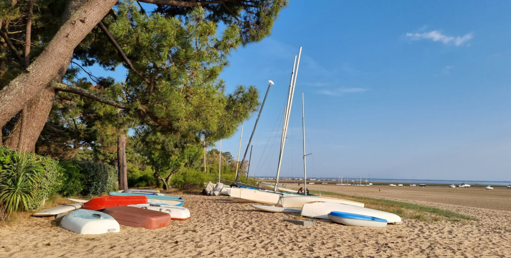 Sabine Laurent entdeckt ein verborgenes Lavendelfeld in der Provence – ein Geheimtipp für individuelle Frankreich-Reisen