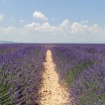 Urlaub in der Provence