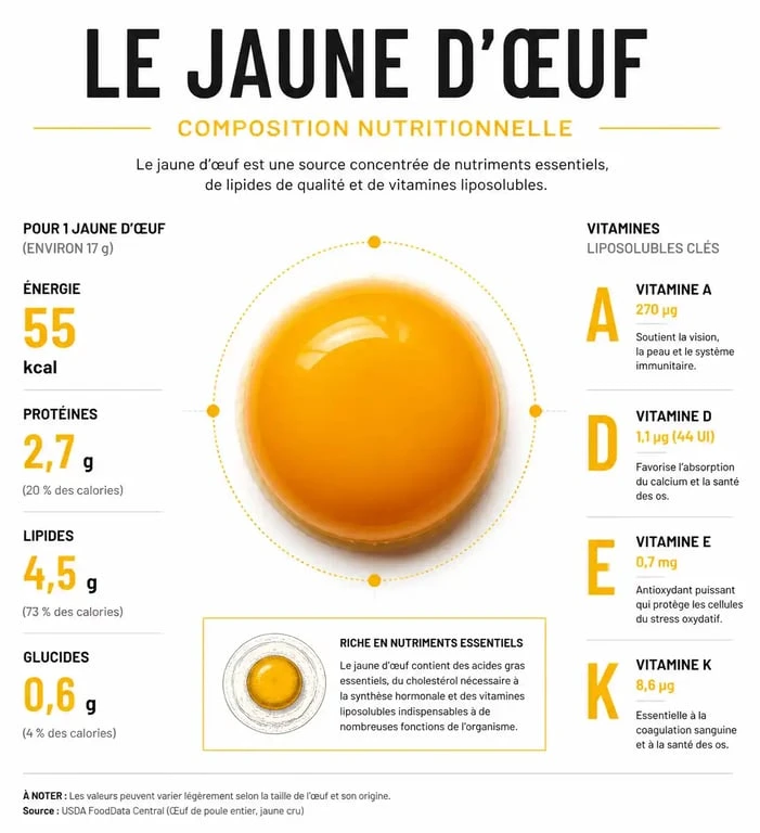 Infographie sur la composition nutritionnelle et les calories du jaune d'œuf