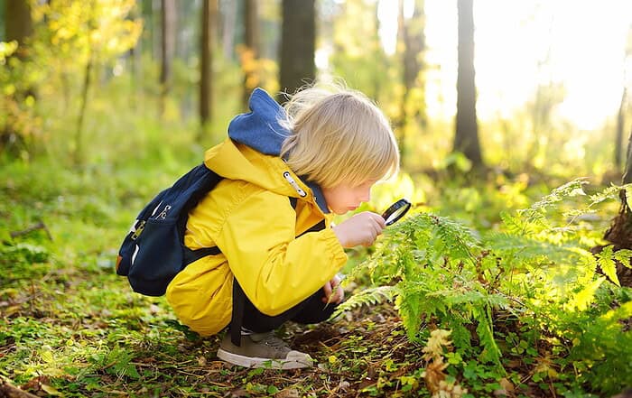 Junge Kinder im Wald untersuchen Pflanzen mit einer Lupe, um die Natur zu entdecken.
