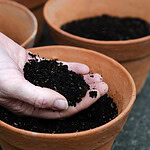 10 Soil Vs. Potting Mix Mistakes That Lead To Weak, Unhappy Plants