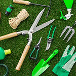 5 Gardening Tools Every Beginner Actually Needs (And 7 You Can Skip)