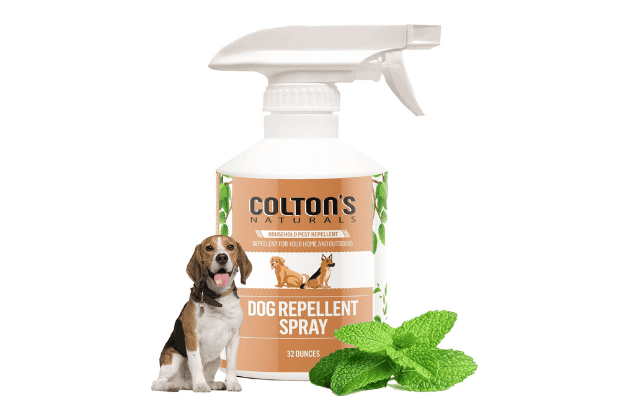 Best Dog Digging Repellent For 2026 (That Actually Works) - DOGGYTASTIC