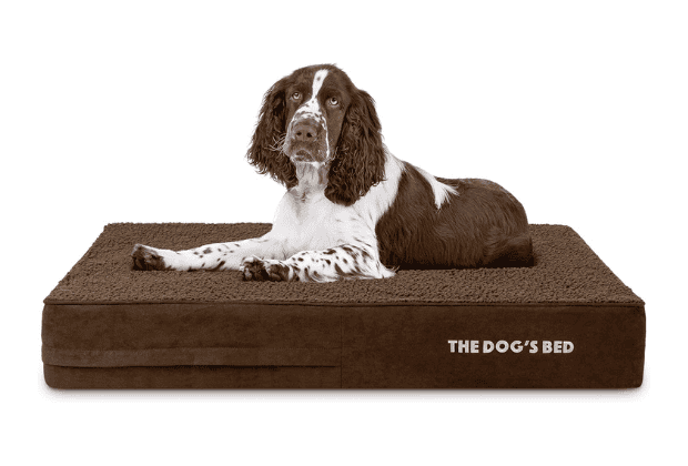 Photo inspiration: Gallery Detail: Best Memory Foam Dog Beds In 2026 Orthopedic Picks That