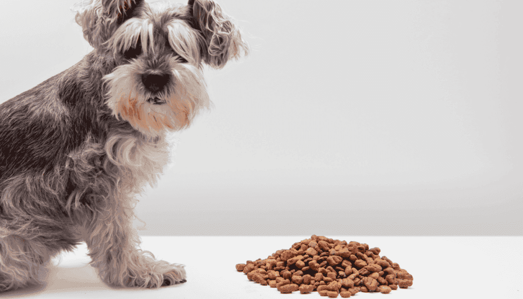 View of Are These 10 Cancer Causing Ingredients Hidden In Your Dogs Food ...