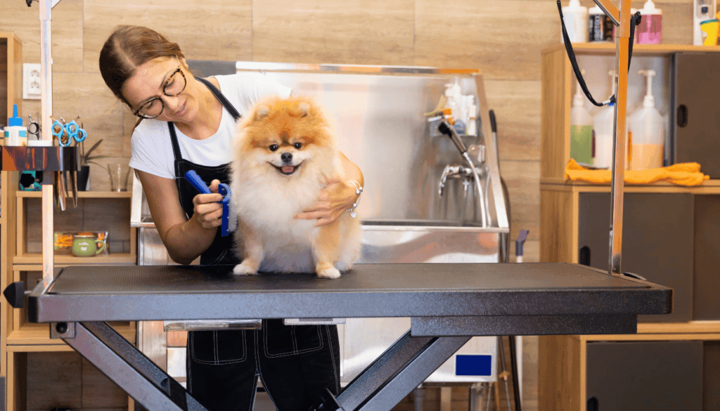 How Much to Tip a Dog Groomer in Every Situation [2024]