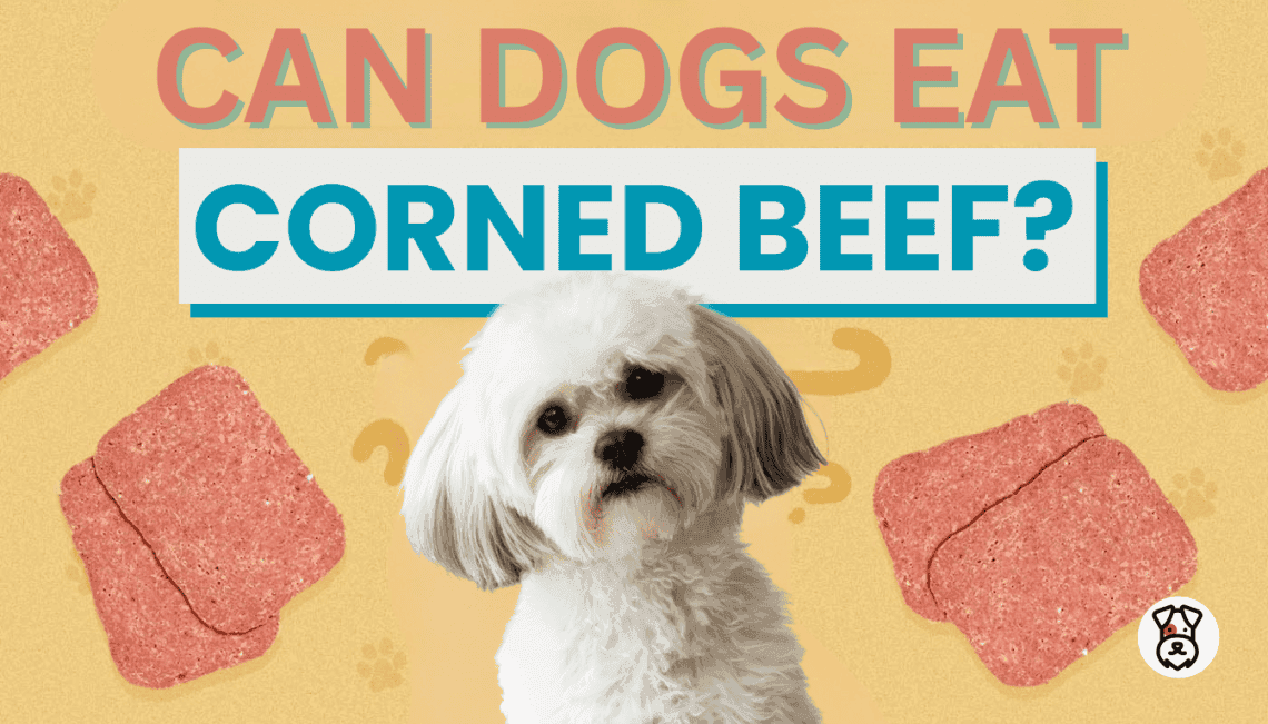 Can Dogs Eat Corned Beef? Why One Slice Might Be Too Much - DOGGYTASTIC
