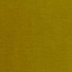 Velvet - Gold