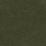 Alcantara - Kiwi
