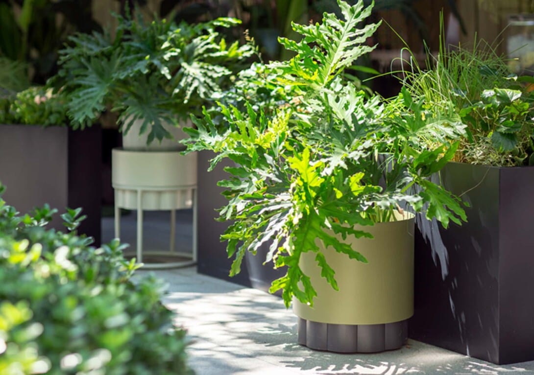 Kun Design Lotus Planter Insitu