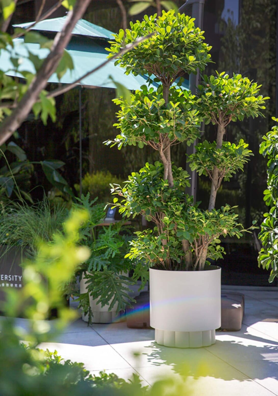Kun Design Lotus Planter Insitu2