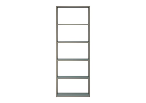 Ligne Roset Dita Shelving Unit: Smoked Glass