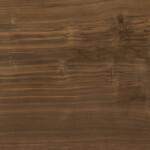 Walnut Noce Oliato