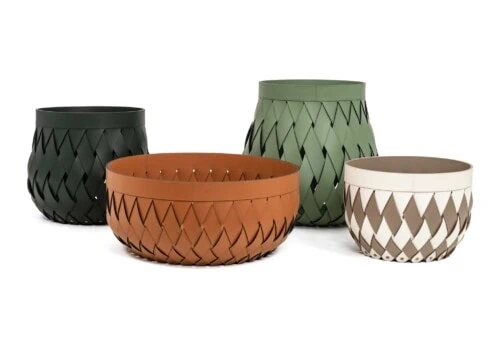 Pinetti: Canaria Basket Pinetti: Canaria Basket