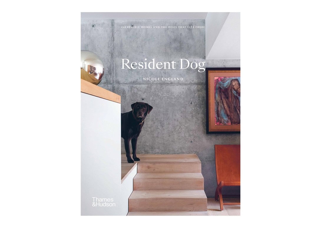 Resident Dog Volume 1