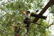 Puente indiana jones