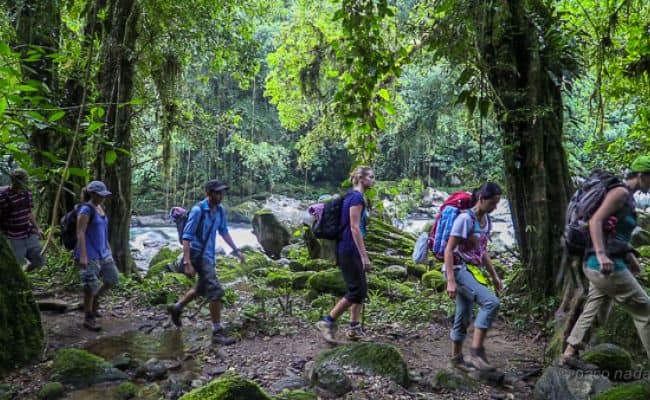 Cooperación multifuncional.