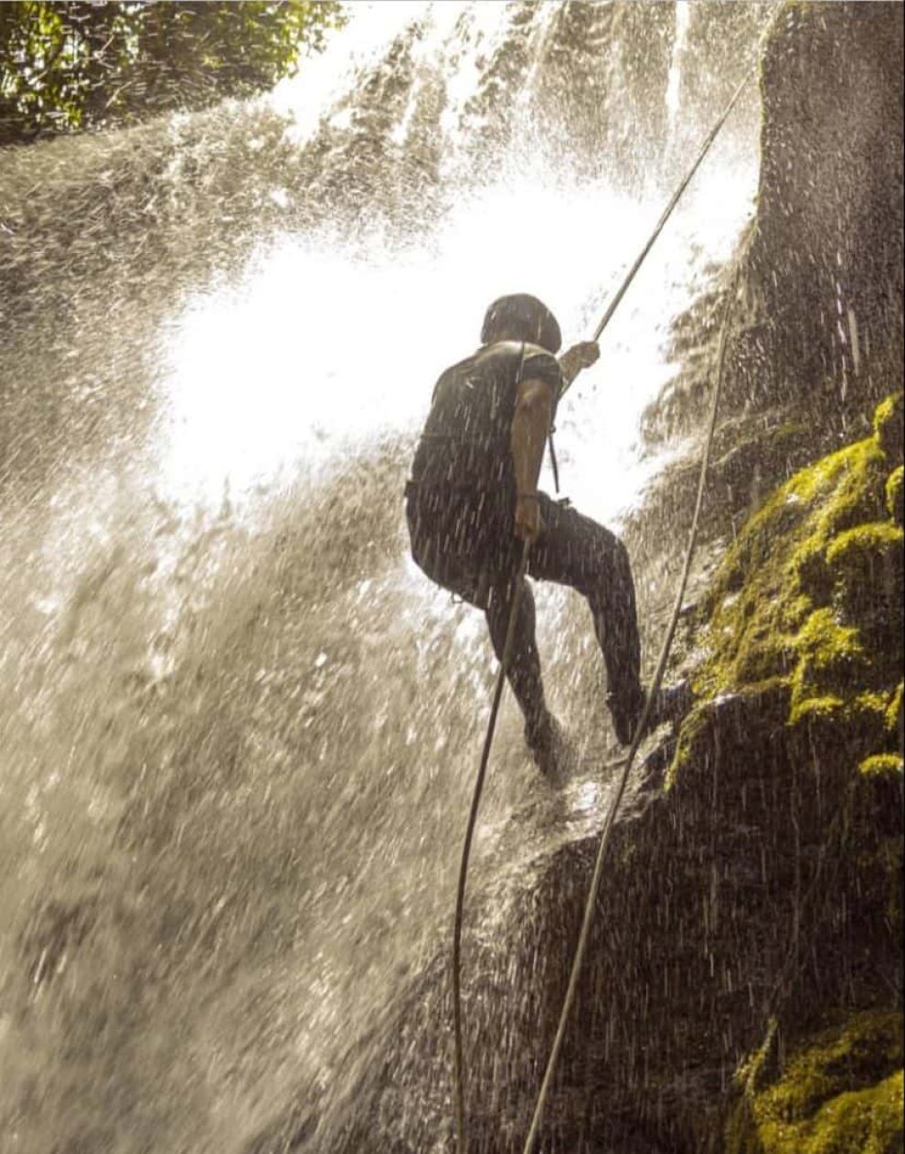 WhatsApp Image 2022-07-26 at 1.03.04 PM