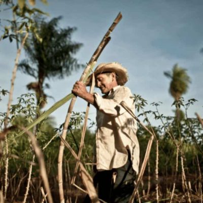 WhatsApp Image 2023-03-10 at 10.14.41 AM (1)