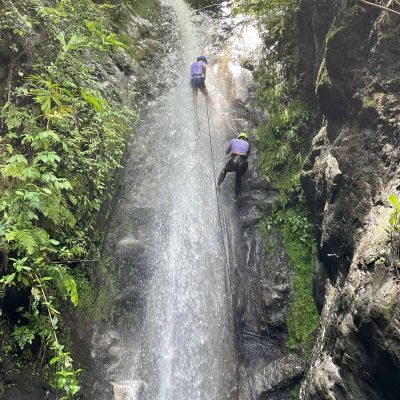 a1abc977-2ab7-4310-af85-ce26f05cf514