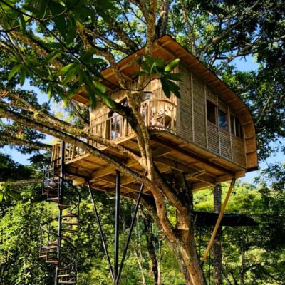 casa_en_el_arbol_utica_n_0