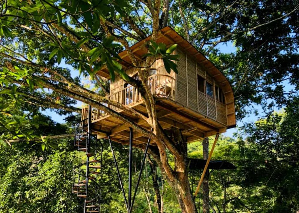 casa_en_el_arbol_utica_n_0