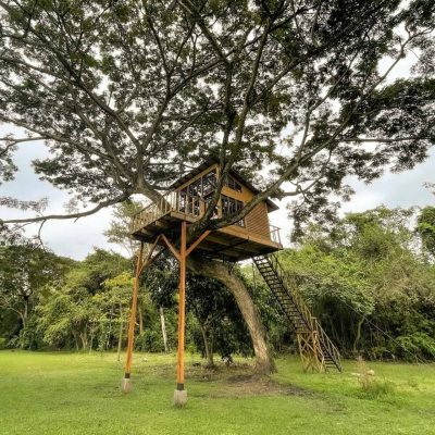 thumbnail_Nuevo proyecto-6